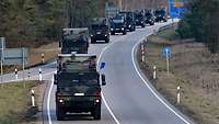 Mehrere Bundeswehr-Fahrzeuge fahren in Kolonne auf einer Landstraße.
