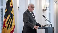 Frank-Walter Steinmeier am Rednerpult