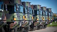 Mehere Militär-LKWs stehen nebeneinander in einer Reihe.