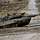 Ein Kampfpanzer Leopard 2A6 fährt im Gelände