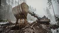 Ein Pionierpanzer Dachs schaufelt im Wald.