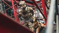 Ein Hund macht Platz neben einem Soldat, der zu ihm runterschaut und ein Handzeichen gibt.
