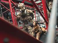 Ein Hund macht Platz neben einem Soldat, der zu ihm runterschaut und ein Handzeichen gibt.