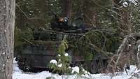 Ein M113 steht untergezogen im Wald.