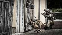 A dog is running through a wooden yard gate and a commando soldier adjoining the gate.