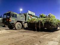 Ein Tankwagen und ein mit Zweigen getarnter Panzer stehen nebeneinander