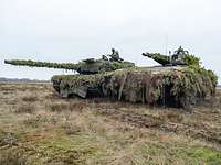 Kampfpanzer Leopard und Schützenpanzer Puma mit Zweigen getarnt stehen nebeneinander im Gelände