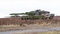 Zwei mit Zweigen getarnte Kampfpanzer Leopard fahren im Gelände