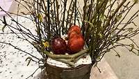 Ein Osterstrauß mit Ostereiern