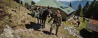 Soldaten stehen auf einem Pfad an einem Berghang mit ihren Mulis, die militärische Ausrüstung tragen