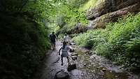 Beeindruckende Natur in der Drachenschlucht