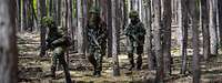 Mehrere Soldaten gehen durch den Wald