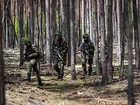 Mehrere Soldaten gehen durch den Wald