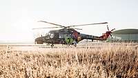 Hubschrauber Sea Lynx mit Sonderfolierung zum 40. Jubiläum Ein Hubschrauber vom Typ Sea Lynx Mk88A mit Sonderfolierung steht auf einem Flugplatz