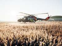 Ein Hubschrauber vom Typ Sea Lynx Mk88A mit Sonderfolierung steht auf einem Flugplatz