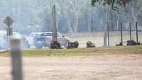 Mehrere Soldaten liegen vor Autos an einer Straße neben einem Baum.