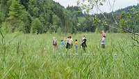 Durchs hohe Gras - Wanderung zum Schwansee