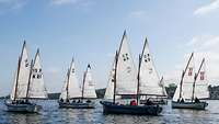Fünf Segelboote fahren unter vollen Segeln an einem sonnige Tag auf der Kieler Förde bei fast glattem Wasser.