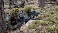 Getarnte Soldaten liegen im Wald mit ihren Waffen in Stellung.