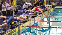 Drei Schwimmerinnen springen von Startblöcken ins Wasser