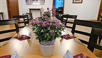 Ein Blumentopf mit einer violetten Herbstblume und Süßigkeiten liegen auf dem Tisch.