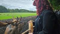 Eine Frau steht an einem Gatter und füttert einen Hirsch. 