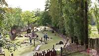Blick auf eine Minigolfanlage. 