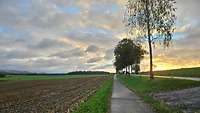 Eine Straße im Hochsauerlandkreis, auf der rechten Seite geht die Sonne auf.