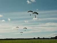 Mehrere Fallschirmjäger, kurz vor der Landung auf einer Wiese