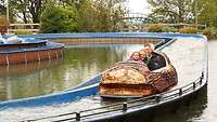 Vier Personen sitzen in einem Baumstumpf einer Wildwasserbahn.