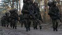 Mehrere Soldatinnen und Soldaten laufen über einen Waldweg