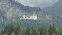 In der Ferne zu sehen das Schloss Neuschwanstein, umgeben von Wäldern und Bergen.