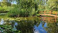 Bäume und eine Holzbrücke spiegelten sich in der Wasseroberfläche eines Teiches, er wurde von Schilf und Seerosen umrahmt.