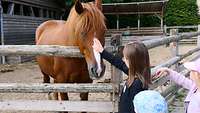 Ein Kind streichelt ein Pferd am Kopf, zwei andere Kinder schauen zu. 