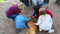 Ein Hund liegt auf dem Boden und lässt sich von Kindern kraulen.