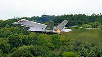 An F-35 during afterburner flight.