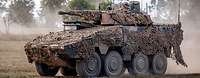 Ein gepanzertes Gefechtsfahrzeug mit einer 30-Millimeter-Maschinenkanone fährt über eine Wiese. 
