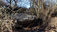 Zwei Schützenpanzer Puma stehen in einem Waldstück.