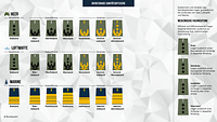 Eine Grafik zeigt die Dienstgrade der Sanitätsoffiziere bei Heer, Luftwaffe und Marine