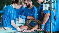 Mehrere Sanitäter der Bundeswehr behandeln eine verwundete Soldatin im Rettungszentrum