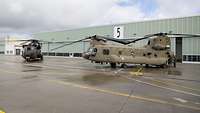 Auf dem Fliegerhorst Holzdorf steht ein niederländischer Hubschrauber neben einem deutschen