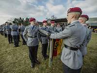 Mehrere Soldaten stehen auf einer Wiese und sprechen mit der linken Hand auf der Bundeswappenfahne