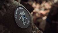 Das Patch der Iron Wolf Exercise 2024: Es zeigt einen Wolf mit NATO-Schild und Schwert