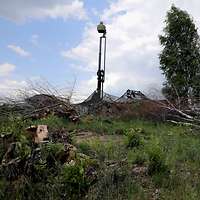Eine Antenne ragt aus dem Unterholz neben einer Birke in den Himmel.