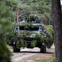Mit Zweigen getarnt fährt auf einer Waldstraße ein Mannschaftstransportwagen Patria 6x6 auf den Betrachter zu.