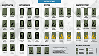 Eine Grafik zeigt die Dienstgrade der Luftwaffe