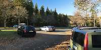 Autos stehen auf einer Wiese, im Hintergrund ist Wald zu sehen.