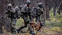 Drei bewaffnete Soldaten laufen mit einem Diensthund durch den Wald.