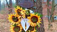 Sonnenblumen, die an einen Baum gebunden sind