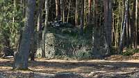 Eine Panzerhaubitze 2000 steht im Wald getarnt zwischen zwei Bäumen.